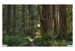 Lunettes Oakley Jawbreaker / Prizm Low Light / Noir / Ref. OO9290-5431 Noir / Gris -Cyclisme Triathlon Soldes Magasin unnamed file 2450